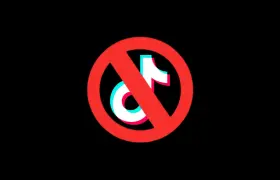 How Business Owners Can Safeguard Against Platform-Specific Risks Like the TikTok Ban